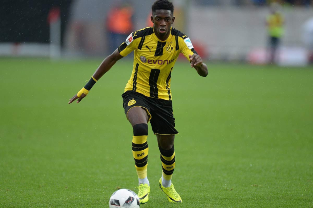 并为球队贡 并为球队贡